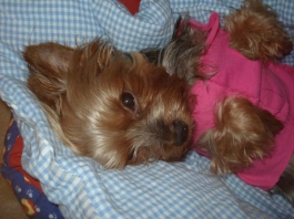 Filippo