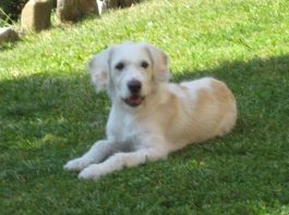 Charlie