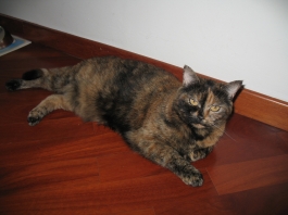 Lulù