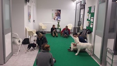 elisa puppy class