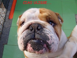 ulisse